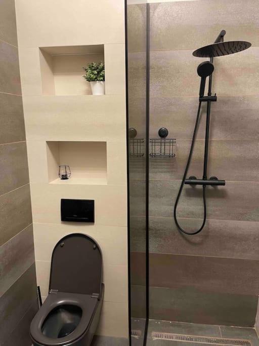 Ath Modern Homes - Luxury Apartment In The City Center 雅西 外观 照片
